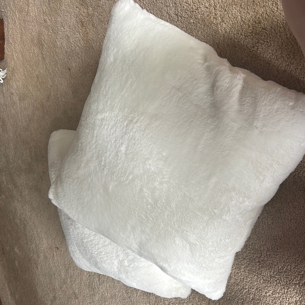 Rachel Zoe 2 White Plush Pillows